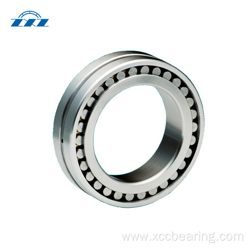 Double Row Cylindrical Roller Bearing